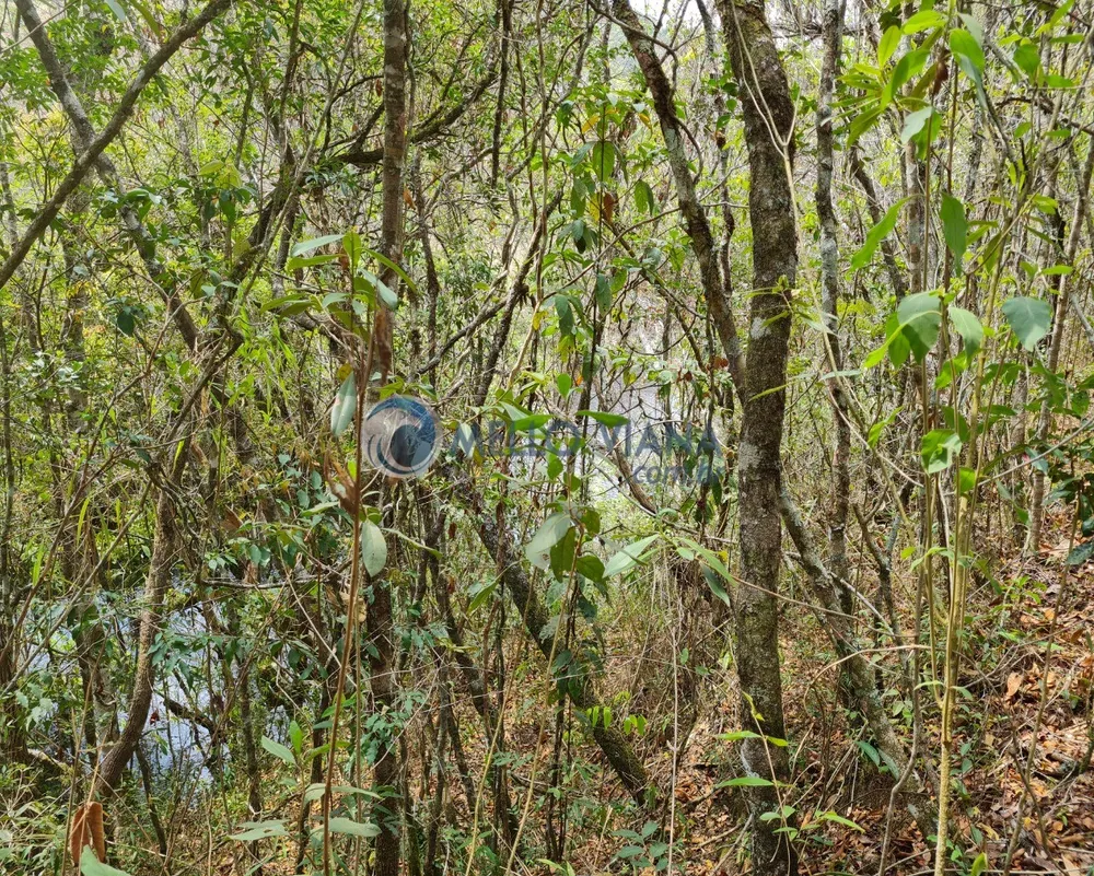 Terreno, 20 hectares - Foto 9