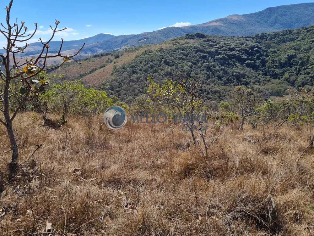 Terreno, 20 hectares - Foto 1