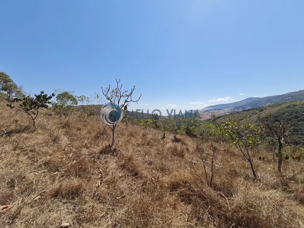 Terreno, 20 hectares - Foto 4