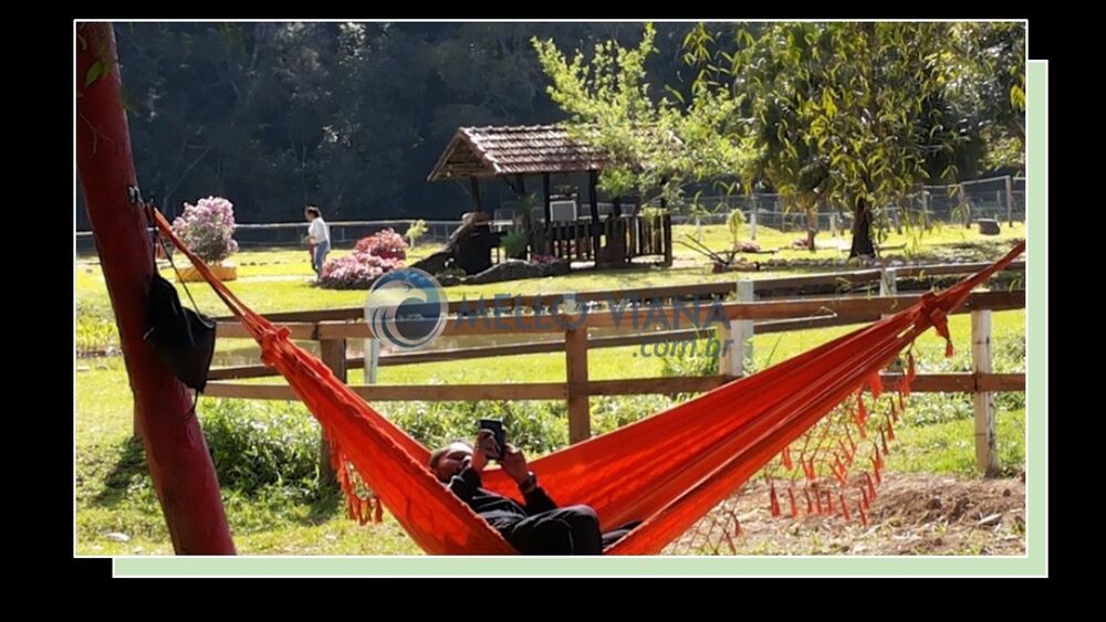 Imóvel Comercial - Foto 3