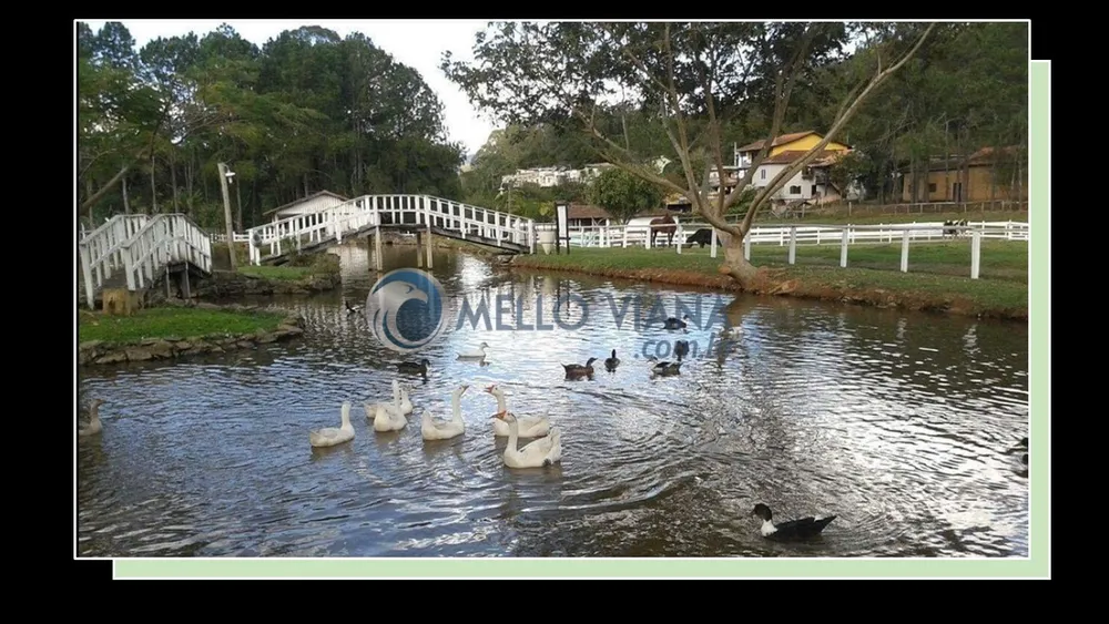 Imóvel Comercial - Foto 5