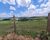 Fazenda, 240 m² - Foto 3