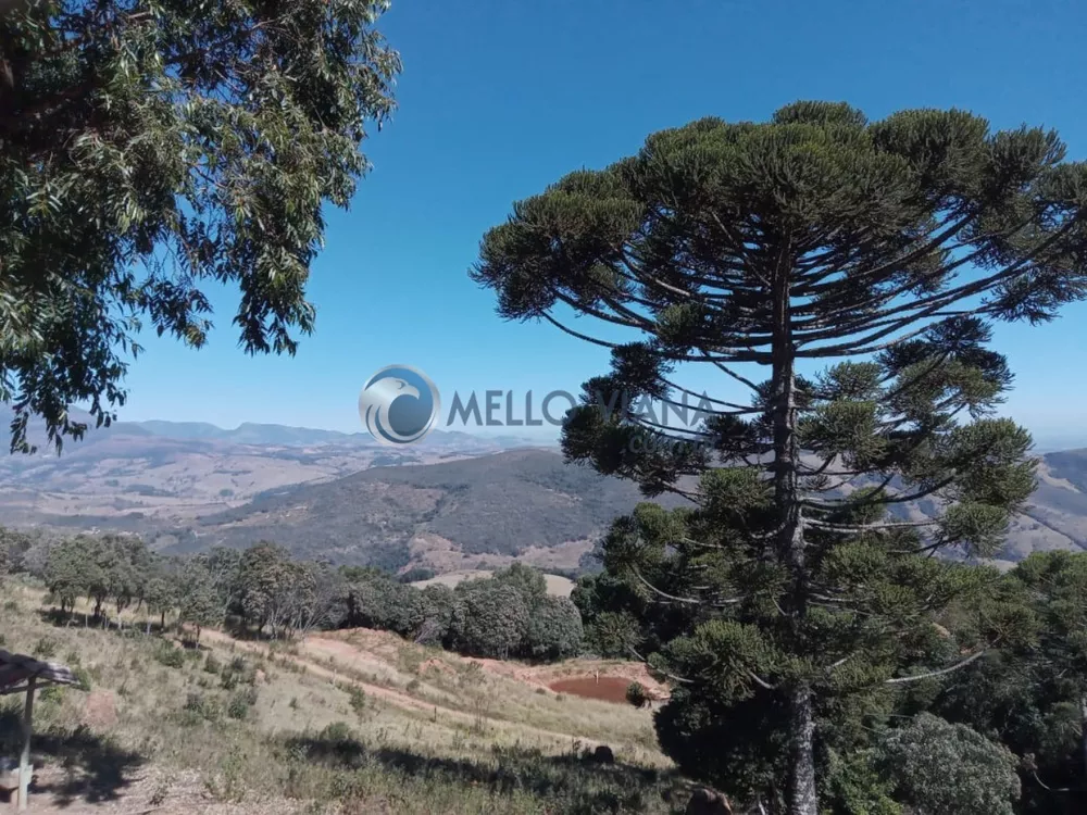 Fazenda à venda, 20000m² - Foto 2