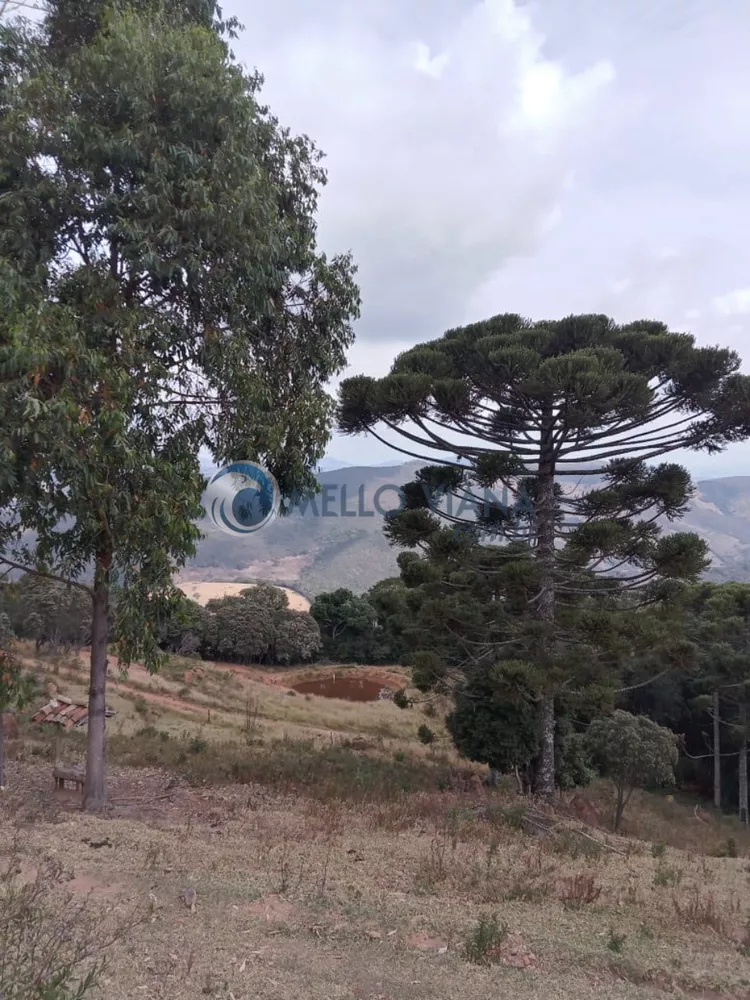 Fazenda à venda, 20000m² - Foto 3