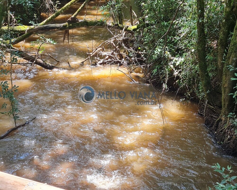 Fazenda-Sítio-Chácara, 170 m² - Foto 5