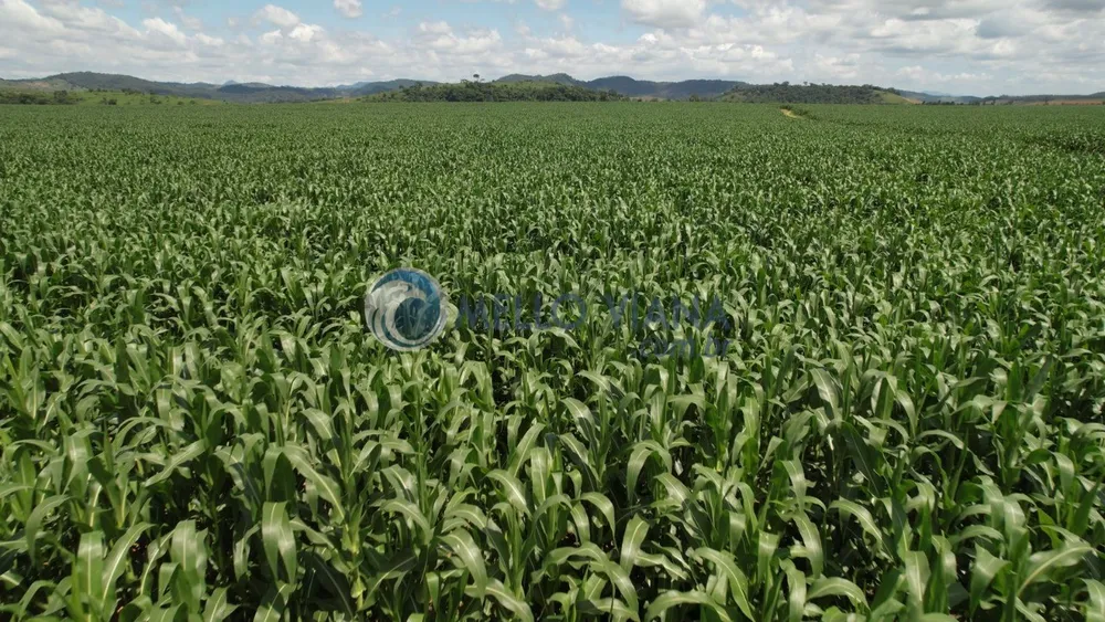 Fazenda, 4655 m² - Foto 3