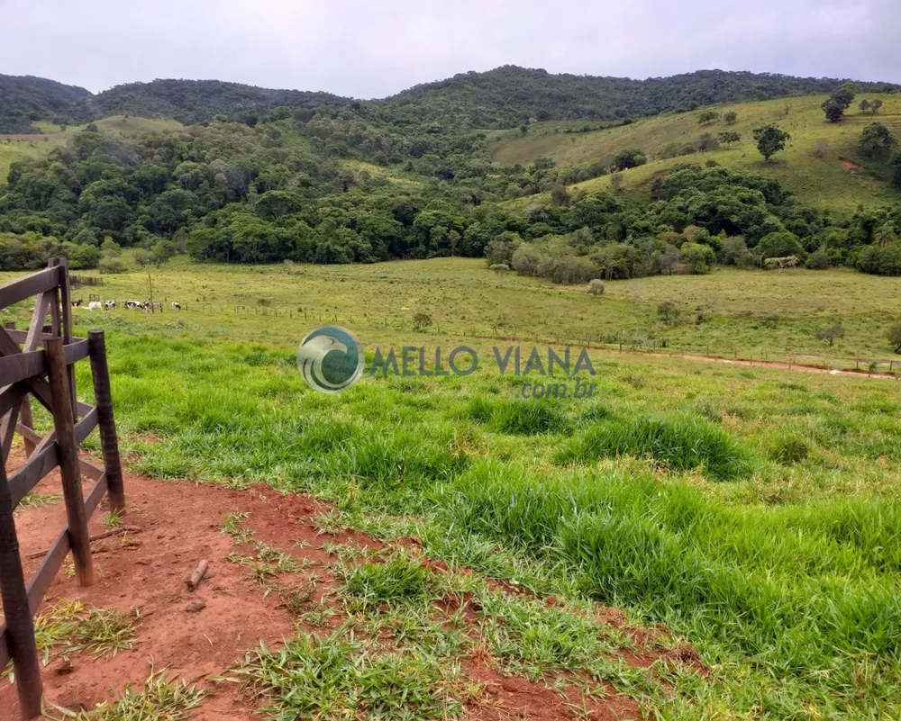 Fazenda à venda com 4 quartos, 150m² - Foto 4