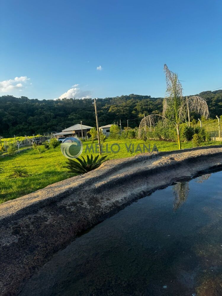 Sítio, 3 quartos, 5000 m² - Foto 4