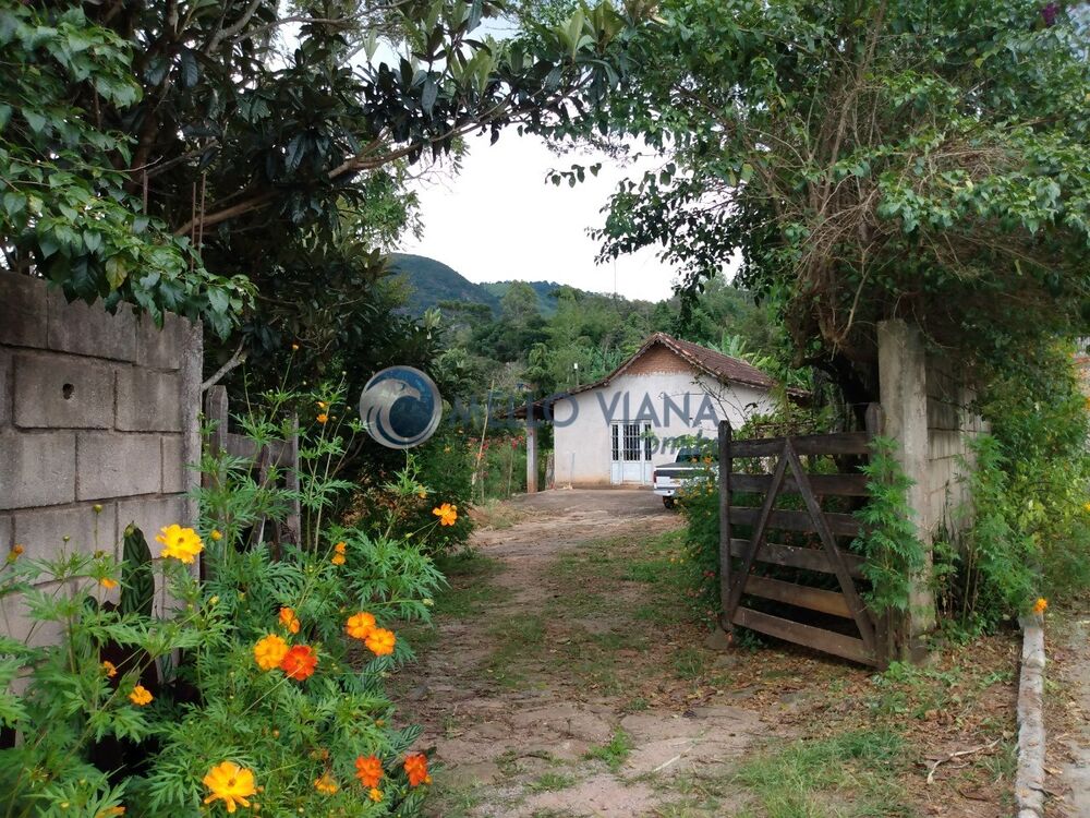 Sítio, 3 quartos, 6500 m² - Foto 1