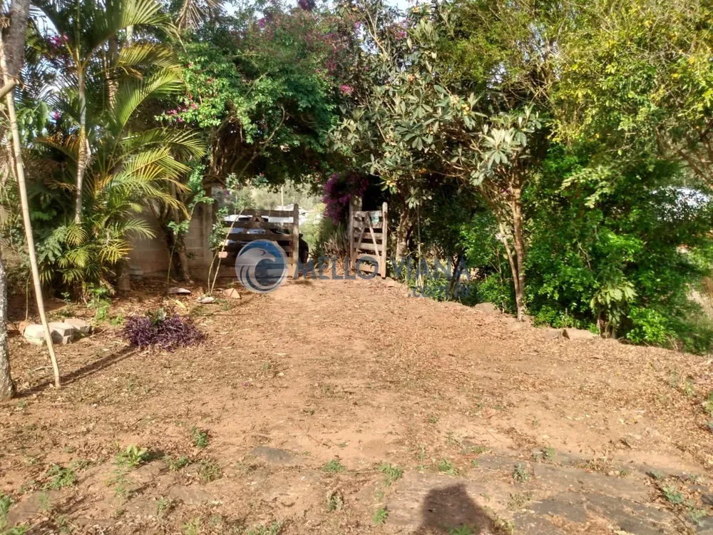 Sítio, 3 quartos, 6500 m² - Foto 11