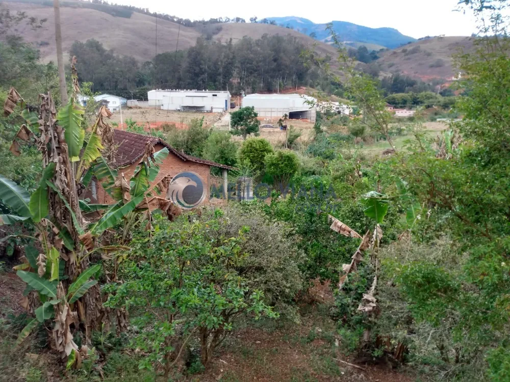 Sítio, 3 quartos, 6500 m² - Foto 12