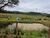 Fazenda-Sítio-Chácara, 347 hectares - Foto 4