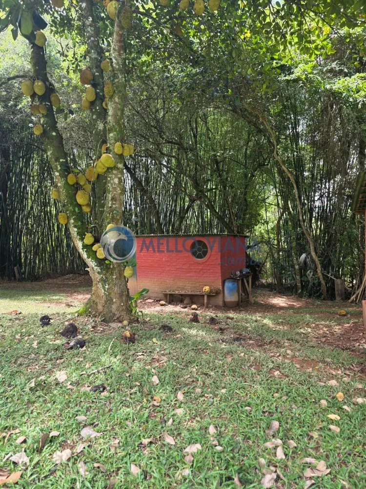 Chácara, 1 quarto, 3374 m² - Foto 3