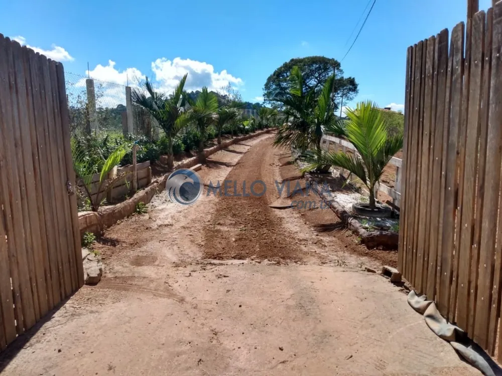 Chácara, 2 quartos, 5000 m² - Foto 4