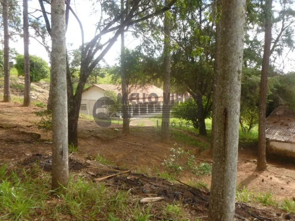 Sítio, 3 quartos, 6 hectares - Foto 9
