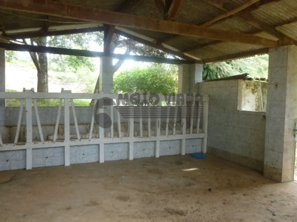 Sítio, 3 quartos, 6 hectares - Foto 10