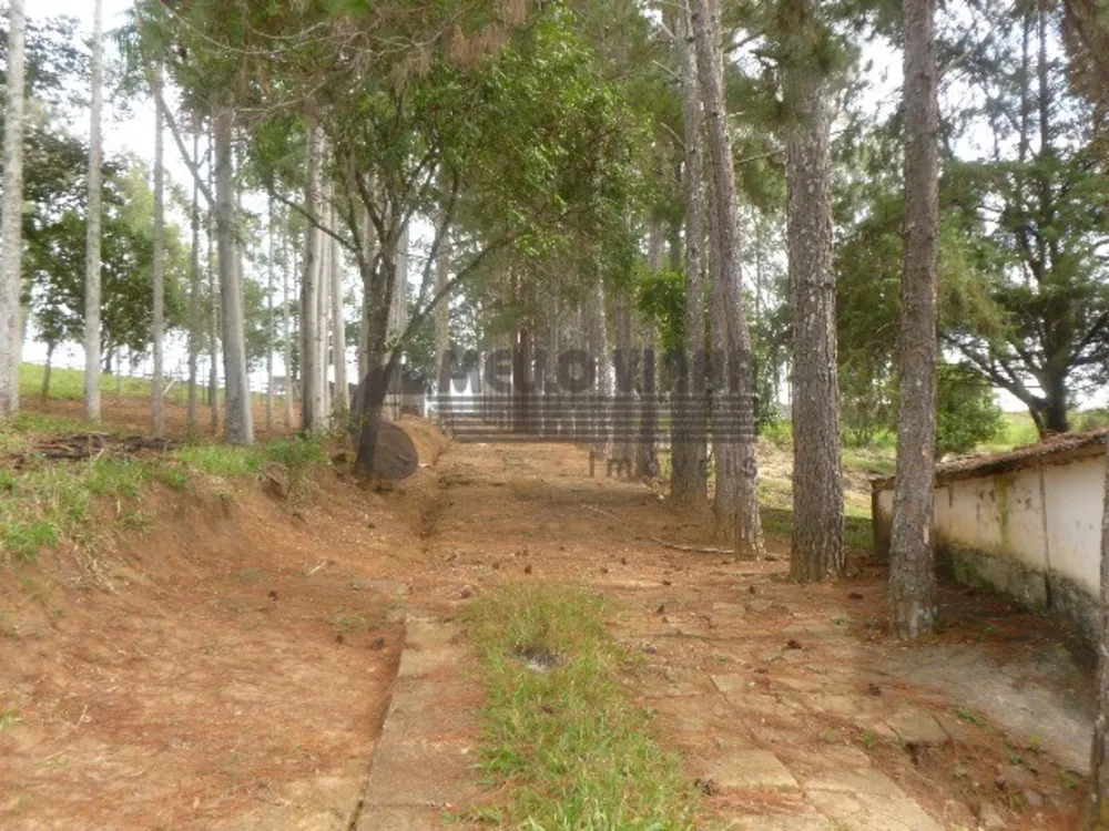 Sítio, 3 quartos, 6 hectares - Foto 8