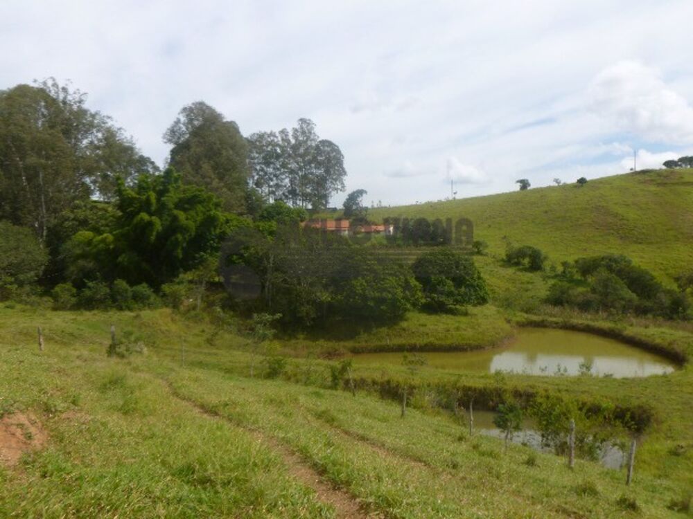 Sítio à venda com 3 quartos, 60000m² - Foto 1