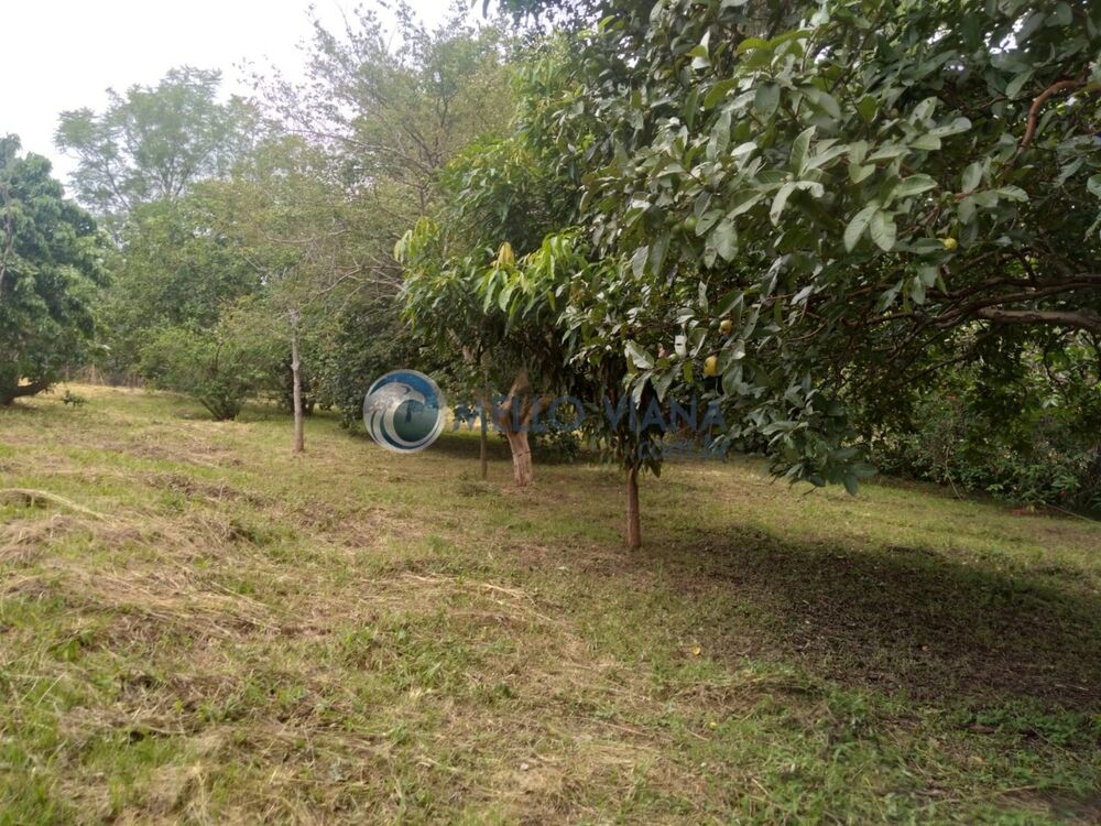 Casa, 4 quartos, 6400 m² - Foto 22