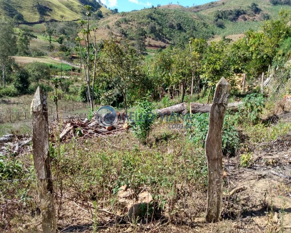 Terreno, 2600 m² - Foto 1