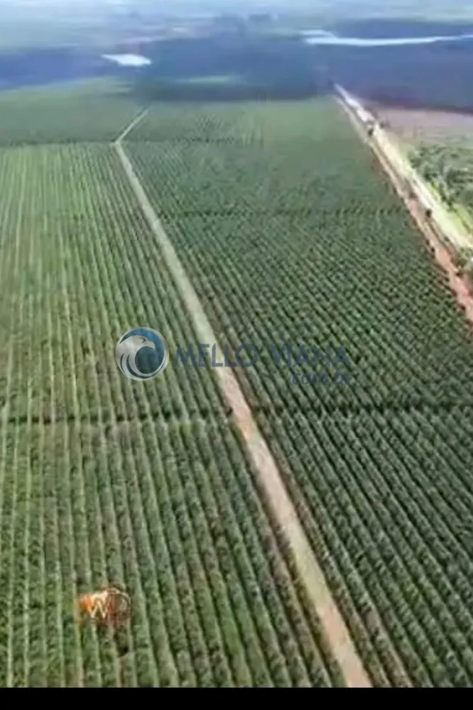 Fazenda, 475 m² - Foto 3