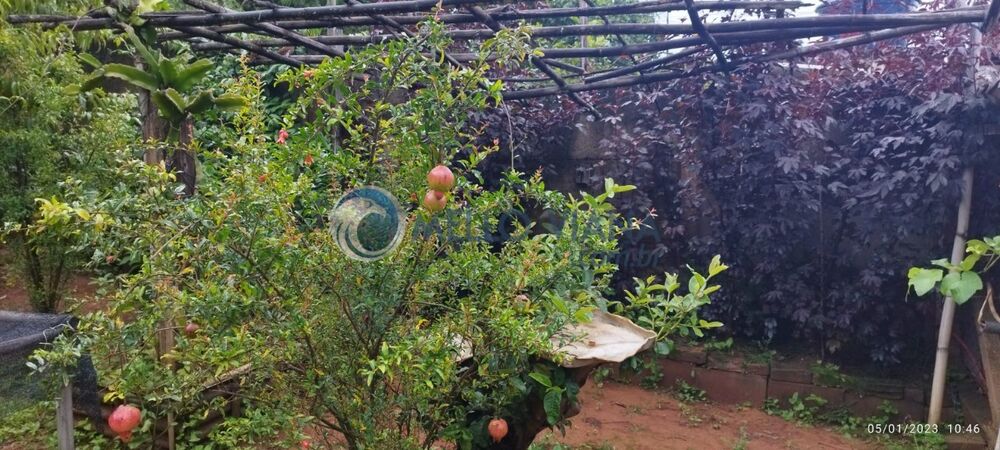 Casa, 5 quartos, 1200 m² - Foto 23