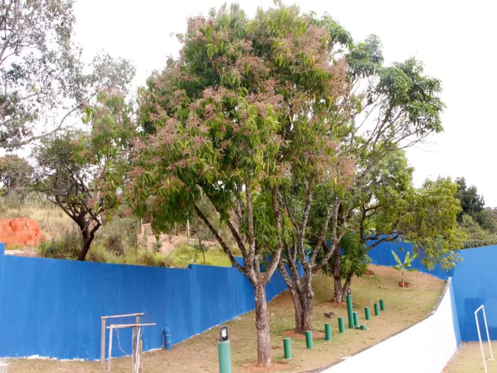 Chácara, 2 quartos - Foto 7