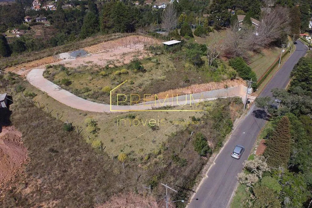 Terreno, 2549 m² - Foto 6