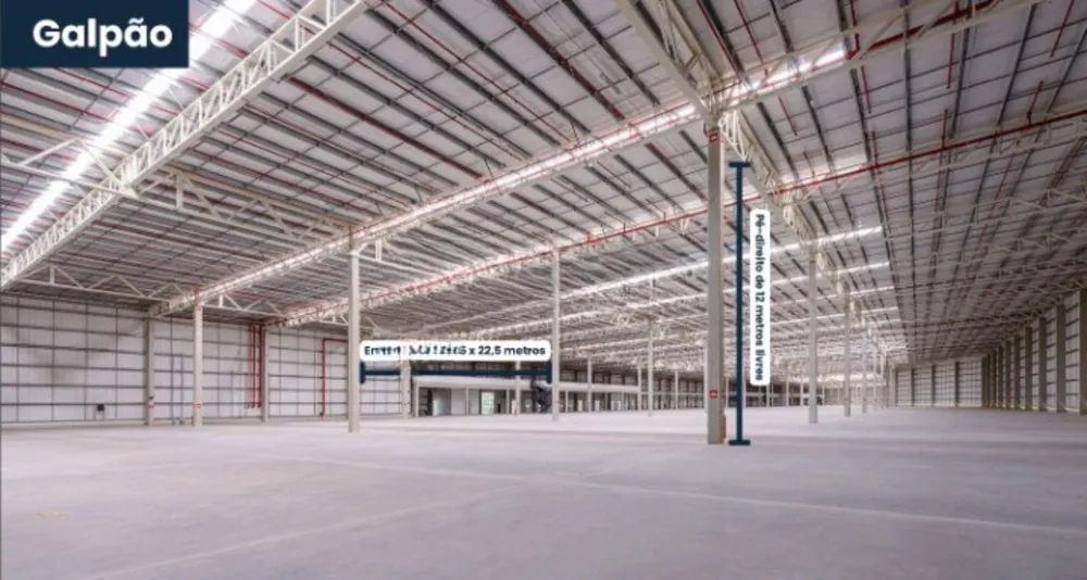 Depósito-Galpão, 4795 m² - Foto 10