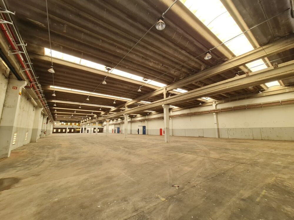 Depósito-Galpão, 3000 m² - Foto 3