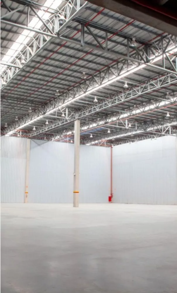 Depósito-Galpão, 1726 m² - Foto 4