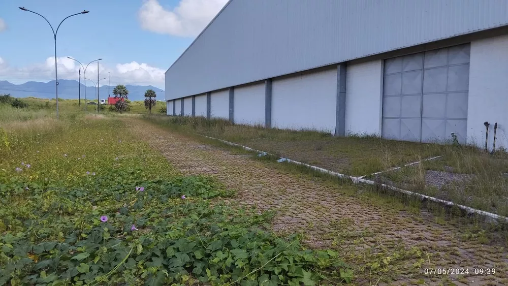 Depósito-Galpão, 6000 m² - Foto 14
