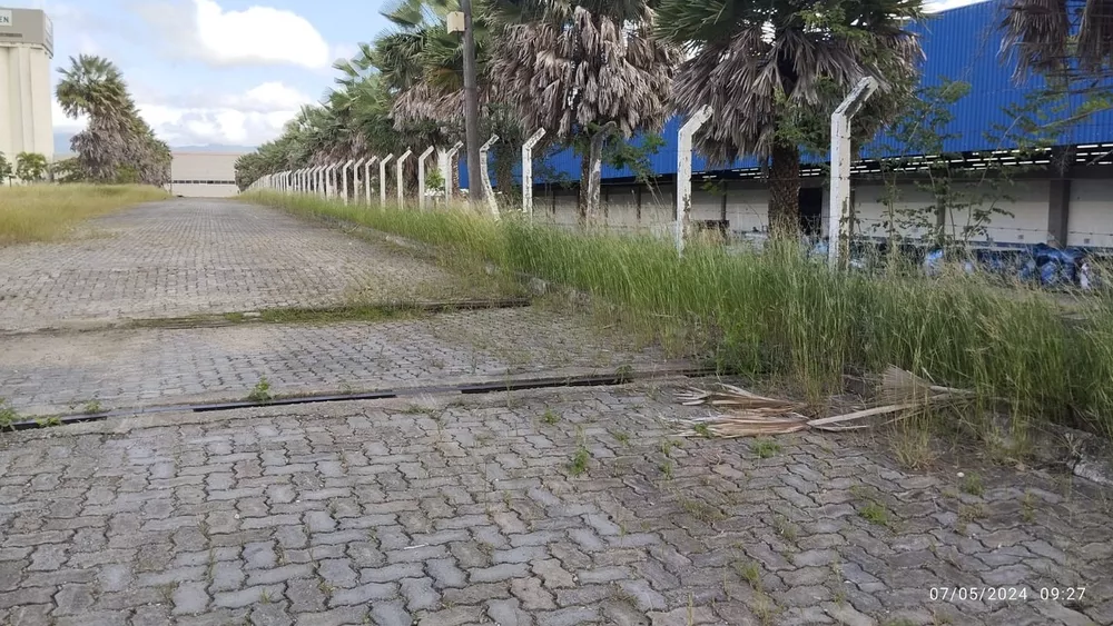 Depósito-Galpão, 6000 m² - Foto 11