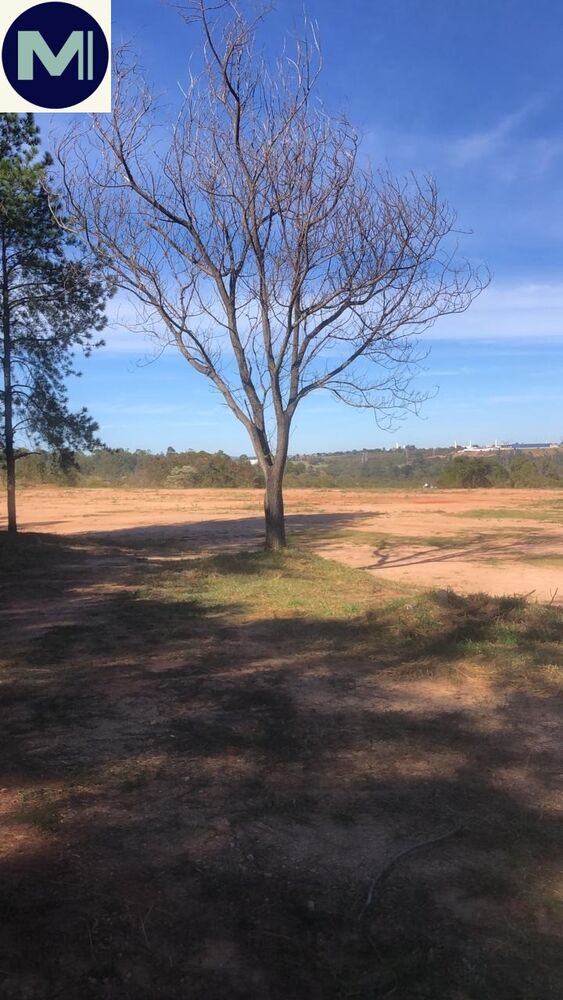 Terreno - Foto 2