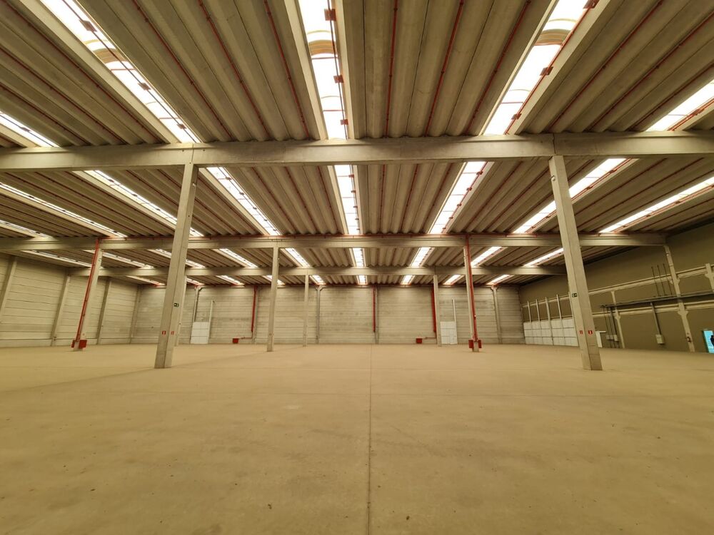 Depósito-Galpão, 6540 m² - Foto 7