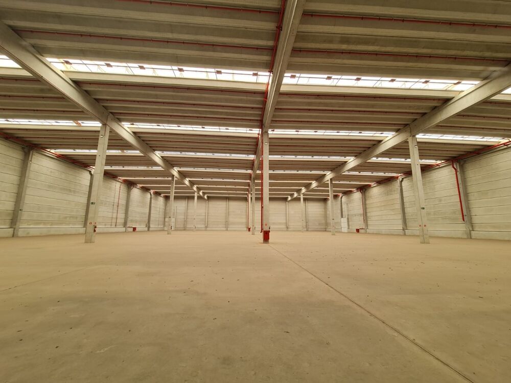 Depósito-Galpão, 6540 m² - Foto 8