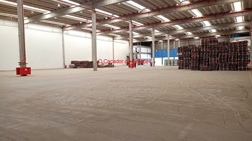 Depósito-Galpão-Armazém para alugar, 4494m² - Foto 4
