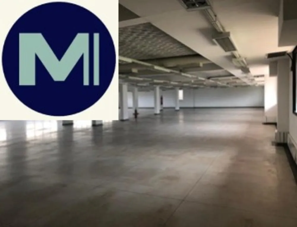 Depósito-Galpão, 5000 m² - Foto 4