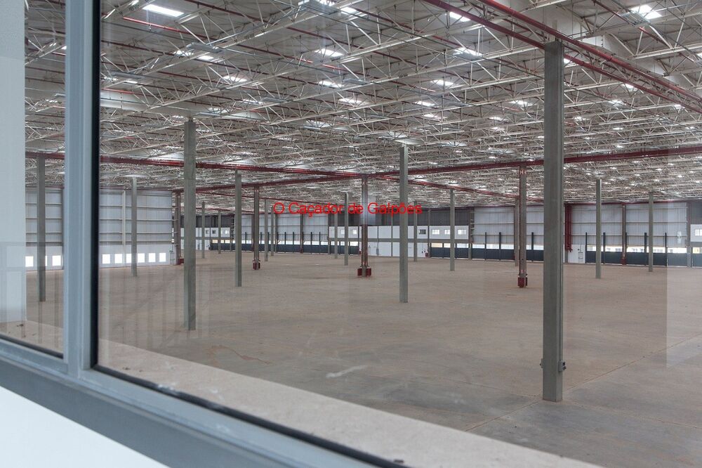Depósito-Galpão, 3638 m² - Foto 3