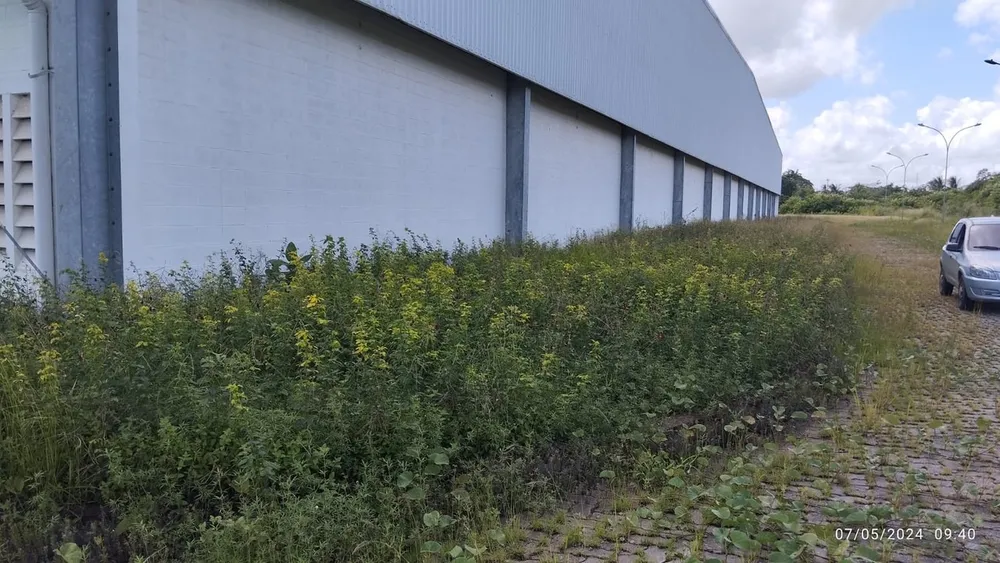 Depósito-Galpão, 18000 m² - Foto 16