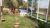Chácara, 3 quartos, 1000 m² - Foto 2