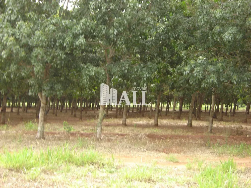 Fazenda, 73 hectares - Foto 7