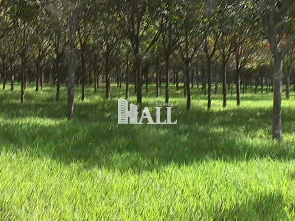 Fazenda, 73 hectares - Foto 8