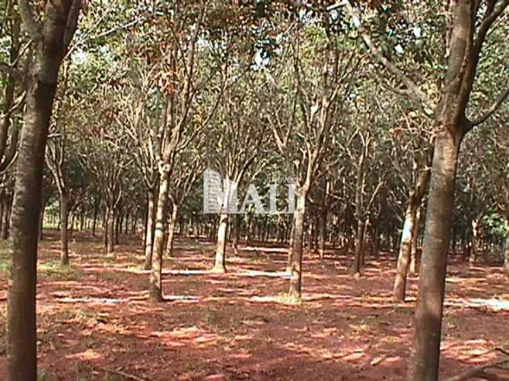 Fazenda, 73 hectares - Foto 10