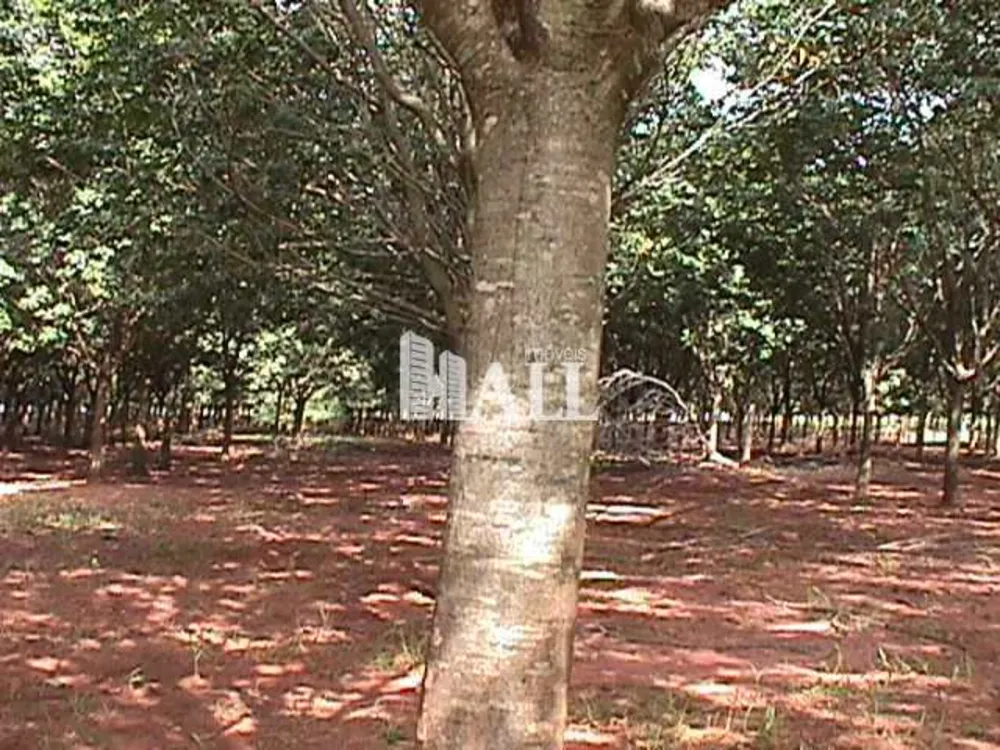 Fazenda, 73 hectares - Foto 11