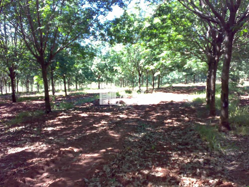 Fazenda, 73 hectares - Foto 5