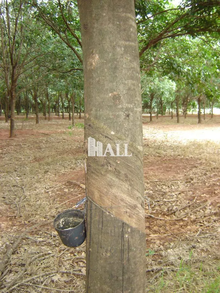 Fazenda, 73 hectares - Foto 13