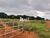 Fazenda-Sítio-Chácara, 73 hectares - Foto 12
