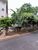 Apartamento, 2 quartos, 63 m² - Foto 13