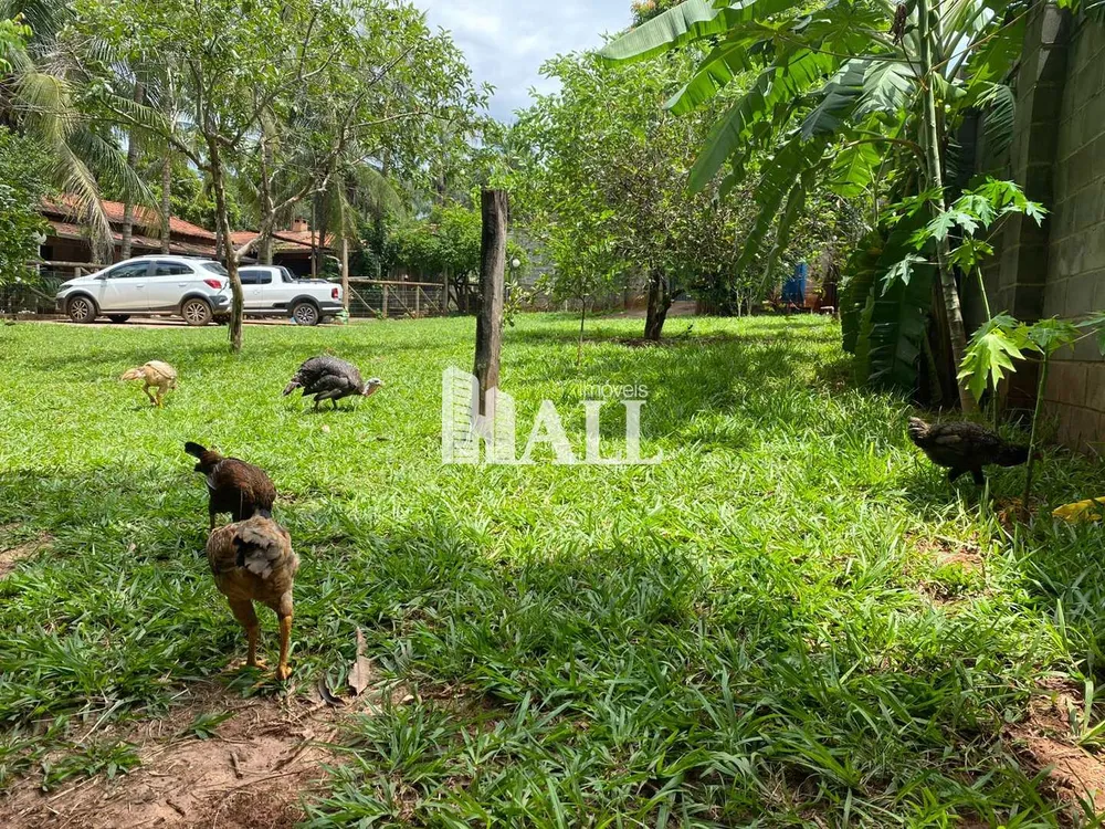 Chácara, 4 quartos, 3600 m² - Foto 5
